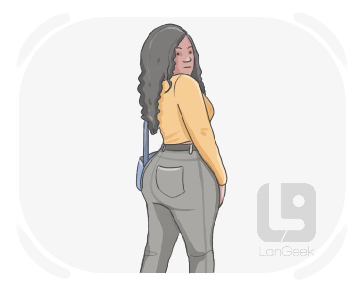 donk definition and meaning