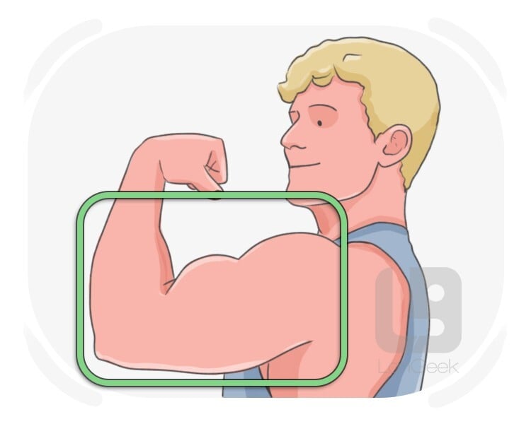 pipe definition and meaning