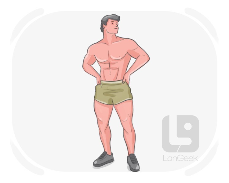 swole definition and meaning