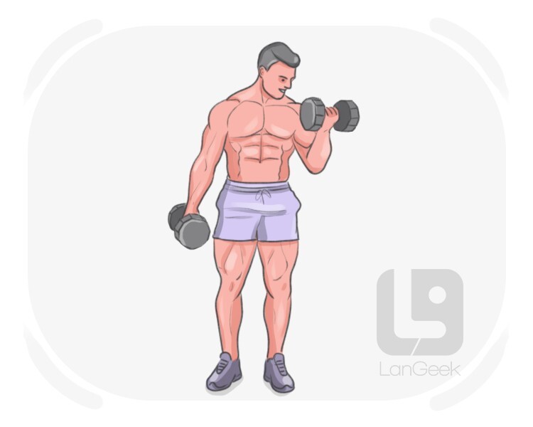 jacked definition and meaning