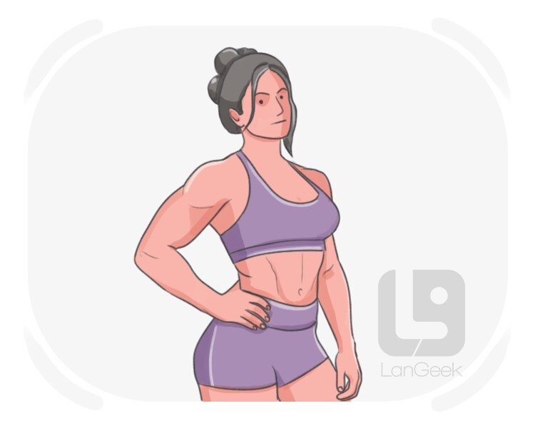 muscle mommy definition and meaning
