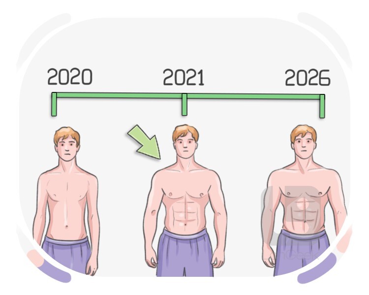 newbie gains definition and meaning