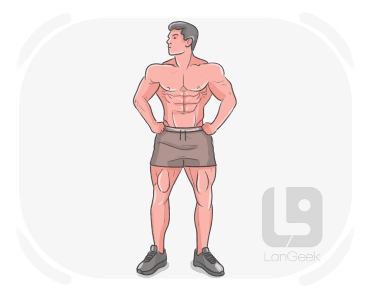 shredded definition and meaning