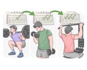 bro split