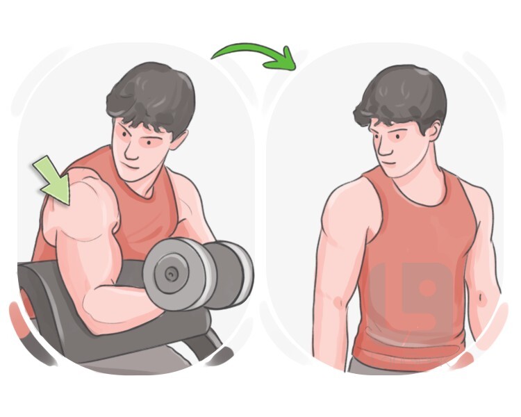 pump definition and meaning