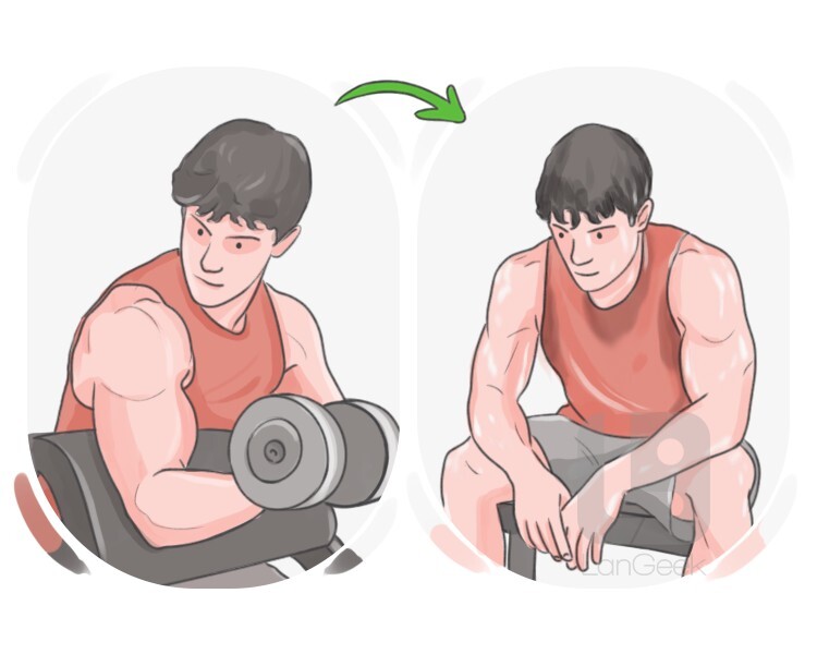 sweat sesh definition and meaning