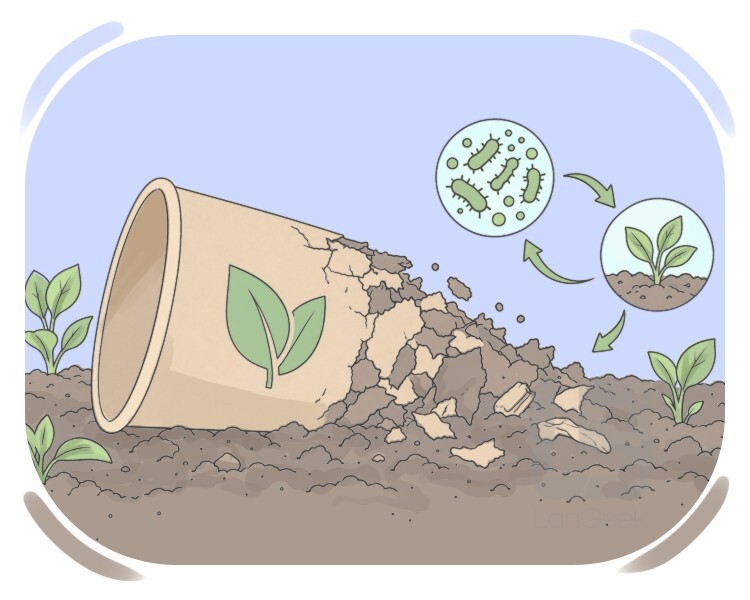 biodegradable definition and meaning