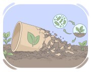 biodegradable