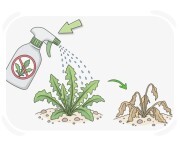 herbicide