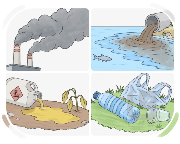 pollutant definition and meaning