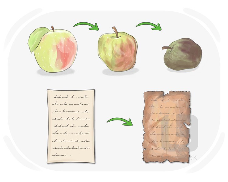 rot definition and meaning