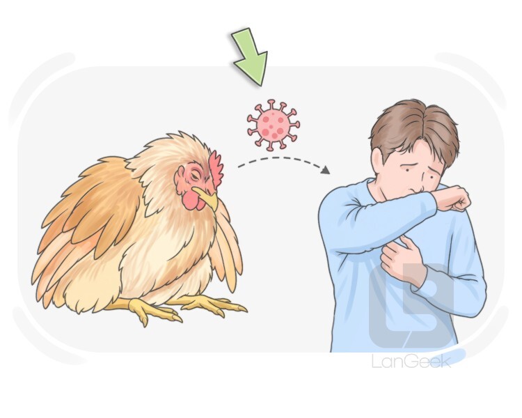 bird flu definition and meaning