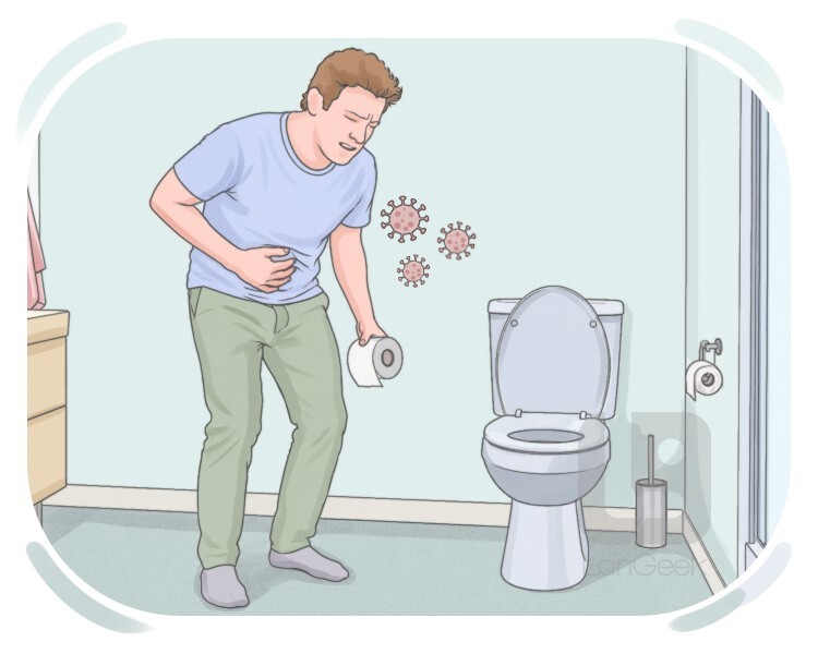 diarrhea definition and meaning