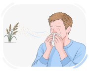 hay fever