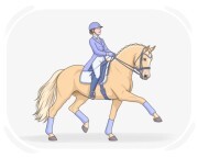 dressage